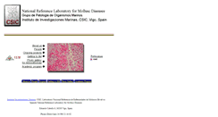 Desktop Screenshot of pathology.iim.csic.es