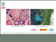 Tablet Screenshot of patologia.iim.csic.es